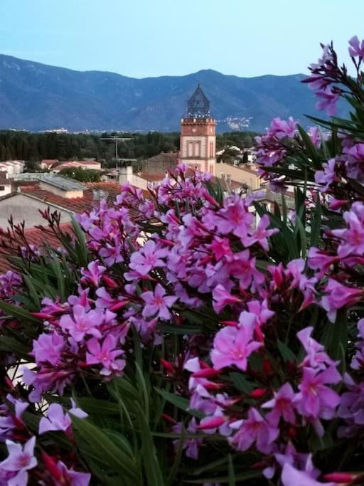 Casa Rosa, Un Petit Cocon Catalan Villa Ortaffa Eksteriør billede